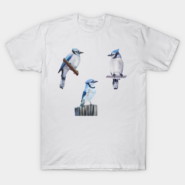 Blue jay t shirt shop